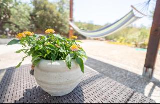Caboni Melis Holiday home - Maracalagonis - 2