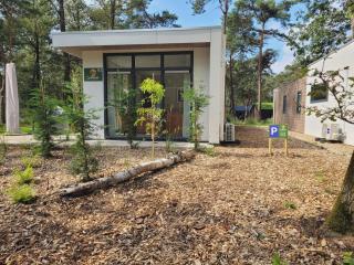 Sallands Chalet met Hottub en Sauna - Haarle - 5