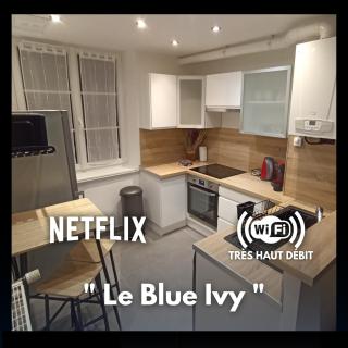Le Blue IVY Hyper centre 2 chambres Tout équipe - Le Creusot - 0