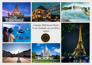 Cosy Appartement - Val d'Europe - Vallée Shopping - Disney - 6