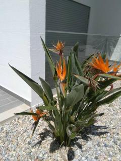 Parenthèse en Algarve - 2