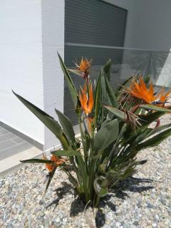 Parenthèse en Algarve - 7