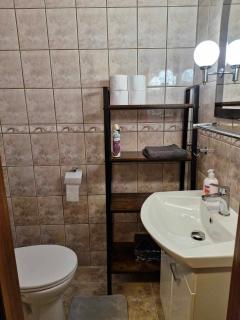 Wilcza Poręba Apartament - Karpacz - 7