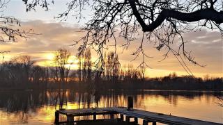 La Belle Vue Du Lac - SPA - Ardres - 1