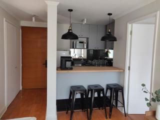 Live Providencia from your cozy home - Santiago - 8