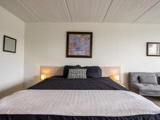 Relax & Enjoy 1BR Home Near Disney Parks With Lake view - Kissimmee - 3