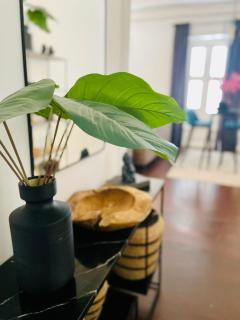Atelier Skalo Boutique Hotel - Willemstad - 5