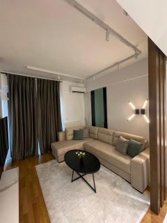 Emerald Gem Amidst Diamonds with Free Private Parking in Skopje City Center - Skopje - 1