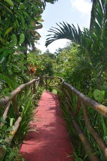 Hotel Roca Negra Del Arenal - Fortuna - 5