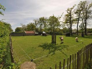 Gastenverblijf Prinsensteeg - Nieuwleusen - 2