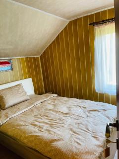 Cabana RodNic - Labaşinţ - 4