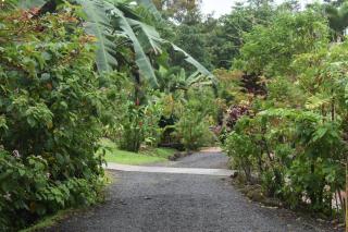 Hotel Roca Negra Del Arenal - Fortuna - 8