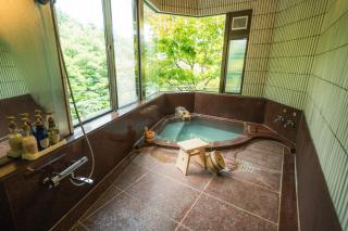 Villa Tombo Hakone - 9