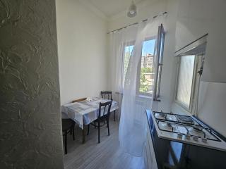Retro style apt You rent a whole apartment in the center of Yerevan - Erevan - 3