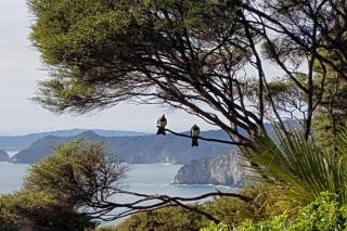 TWO IN THE BUSH - Stunning views, bush hideaway! - - 0