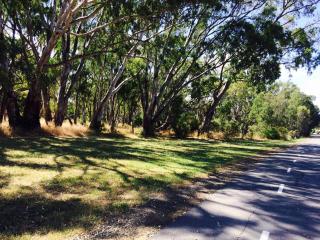 Sunny Shackell - Echuca Moama Holiday Accommodation - 4