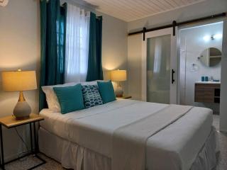 4 Baths, Special Offer! Groups, Family-12 mins to Holetown - Saint James - 0