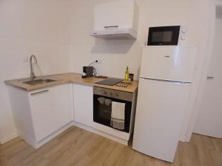 Appartement F1 orchidée - Mulhouse - 3
