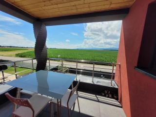 Cocon zen et confortable à proximité de Colmar - Sundhoffen - 3