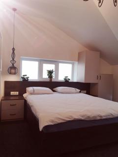 Ariana house - Sinaia - 7