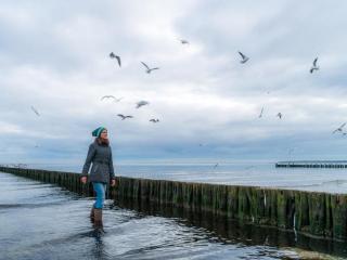 Dwarslöper Whg Dwa26 - 1