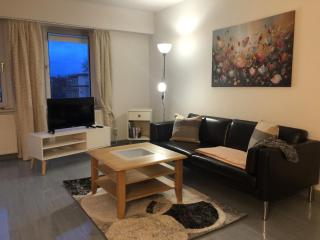 Moderne Vollmöblierte Wohnung - Zwickau - 5