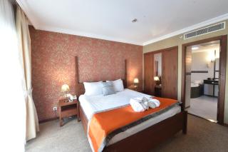 Midas Hotel - Ancara - 8