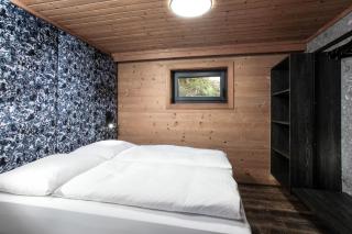 FIVE SEASONS - Hideaway Saalbach - Saalbach-Hinterglemm - 2