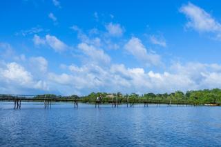 THE Mangrove cave Hotel - Balapitiya - 3