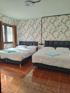 D​ Luck​ Hostel - 0