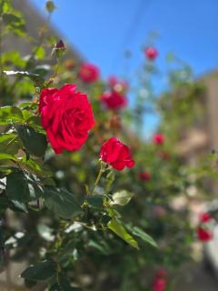 Pic love, 2 personnes jacuzzi - 3