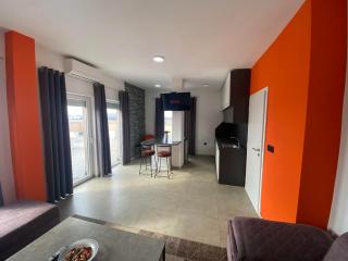 Penthouse Suite - Kosovo Polje - 3