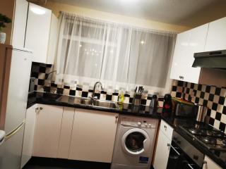 Charming London House with 3 Bedrooms near O2Arena - Londra - 8