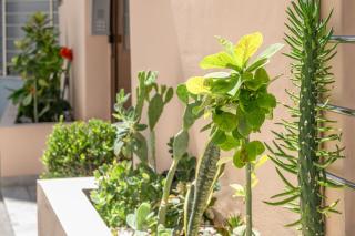 Anassa 4 Deluxe Junior Suite - 2