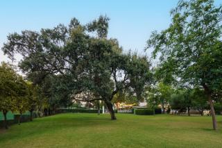 Crisol Jardines de Córdoba - 7