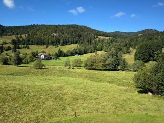 Apartment Schwinbachblick mit 2 Balkonen - St. Blasien - 9