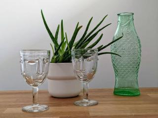 Charmant T2 avec Jardin Proche gare - 7