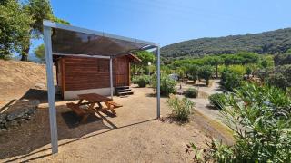 Camping Les Couchants - Casaglione - 9