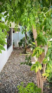 Home - Ensanche Savica de Mendoza - 5
