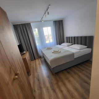 Hotel Piast - Myślibórz - 8