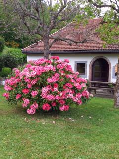 la Marcairie - La Bresse - 9