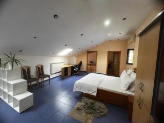 Apartament central Timisoara - 5