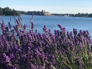 Stockholms skärgård - Vaxholm - 8