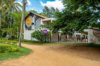 Olive Farm @ Embassy International Riding School - Yelahanka - 7