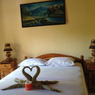 Hotel Dupa - Lovina - 6