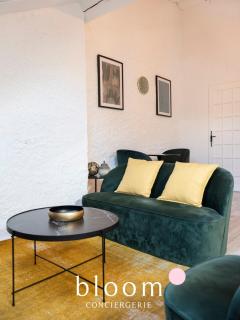 Nancy Gare Superbe appartement - 2