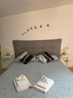 Butterflyhouse2 - Monserrato - 2