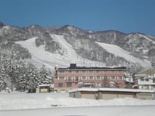 Togari Onsen Alpen Plaza - Iiyama - 6