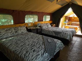 Little5 Camp - Hoedspruit - 3