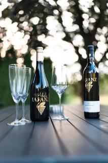 Ferienhaus Treissmann an der Weinstraße - 2